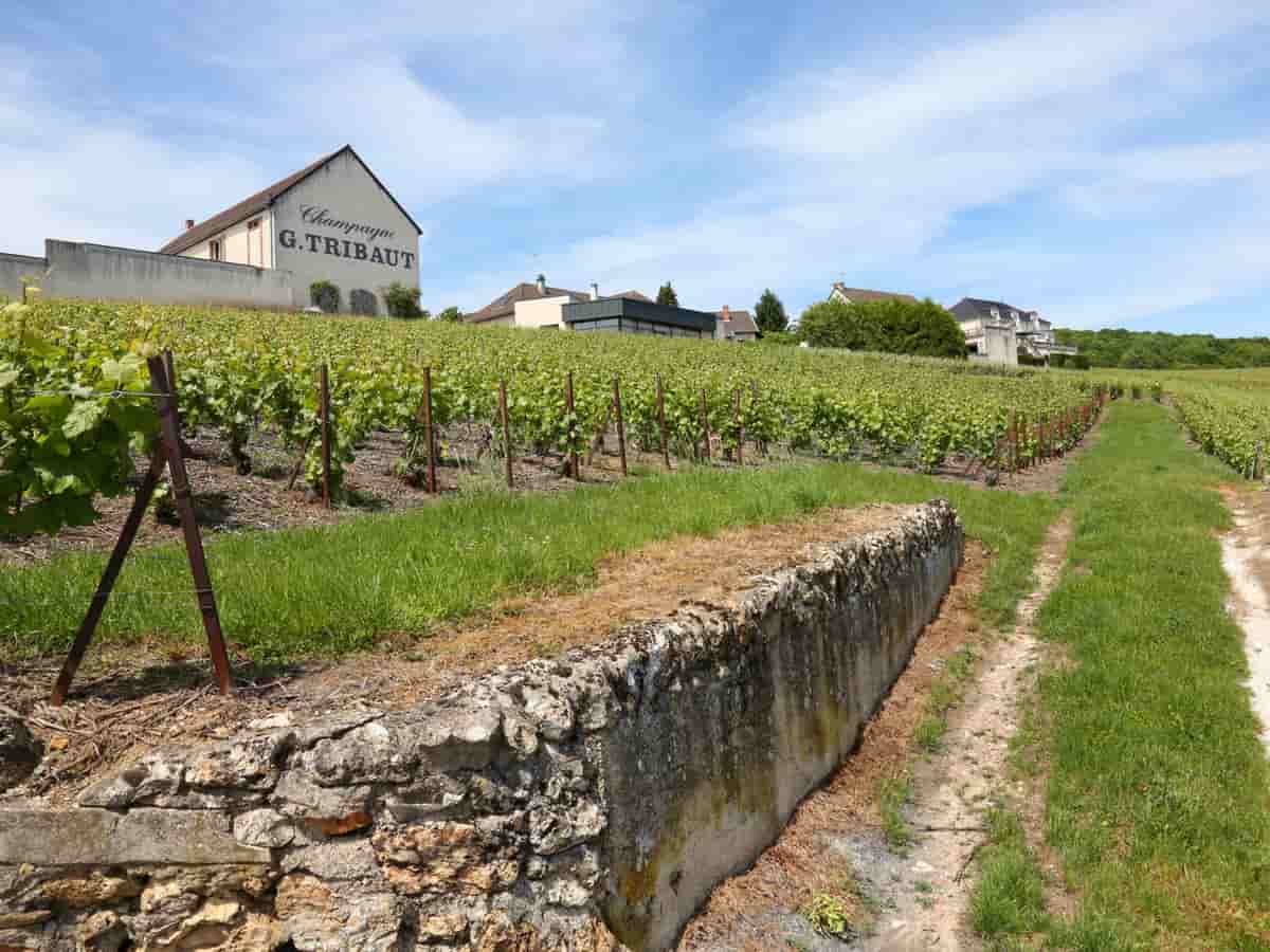 Route de Champagne From Paris
