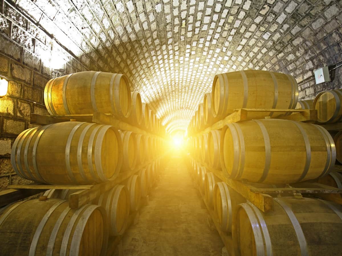 Wine Cellar